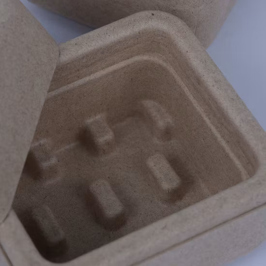 Vassoio per carta per pressa bagnata in canna da zucchero personalizzato ecologico